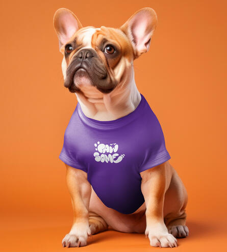 How to design a Playful Logotype (Pawsome)